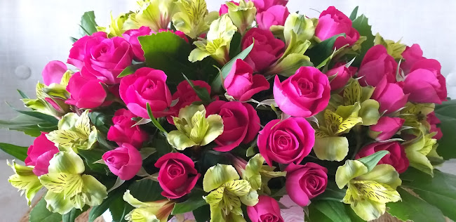 Distribuidora Valleflor - Independencia