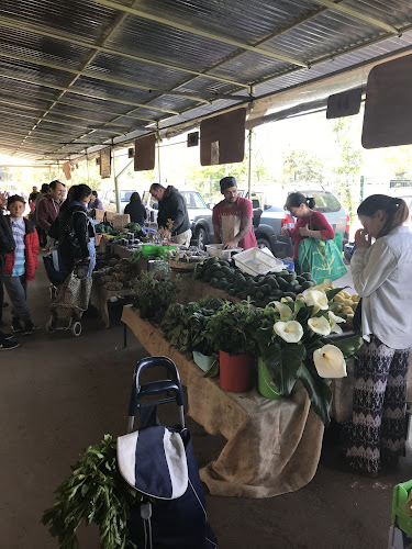 Ecoferia de La Reina - La Reina