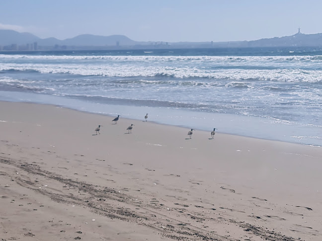 Av. del Mar 2100, 1710347 La Serena, Coquimbo