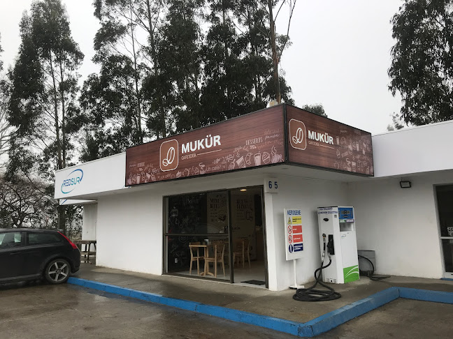 Reviews of Cafeteria Mukür in Biobío - Gastronomía y hostelería