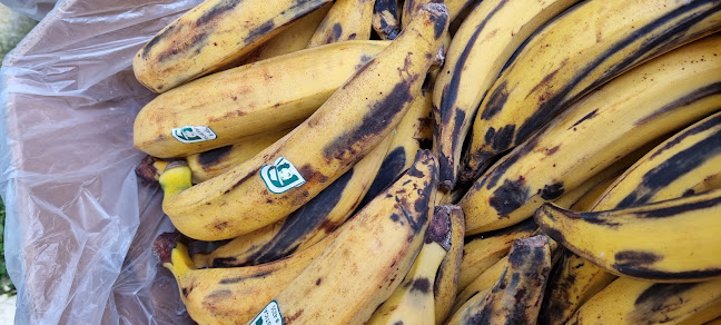 Manosperuanas - Copiapó