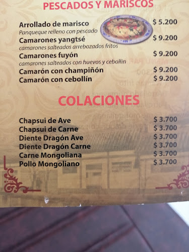 San Carlos Nte. 01935, 8152227 Puente Alto, Región Metropolitana