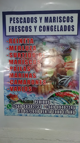 8050000, Maestranza 648, 8320000 San Bernardo, Región Metropolitana