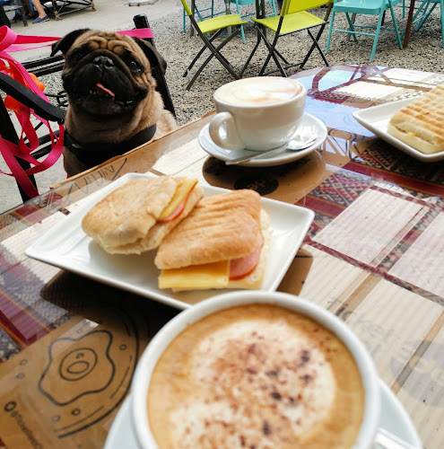 Reviews of KFE dog friendly coffeeshop in Concepción - Gastronomía y hostelería
