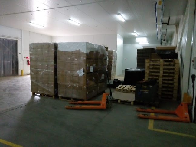 Shileam Food - Placilla