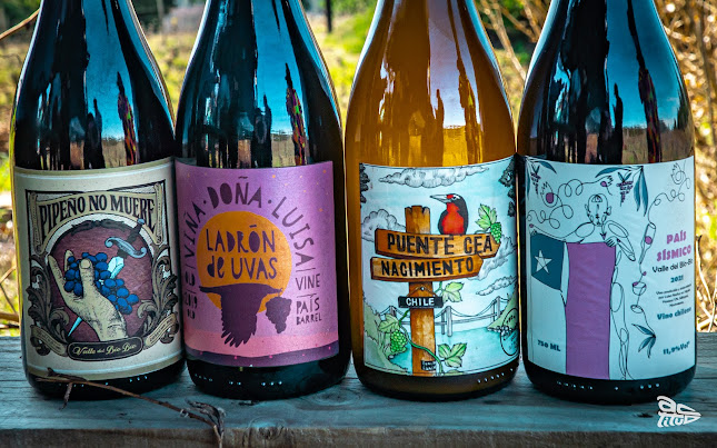 Opinii despre Viña Doña Luisa Millapoa în Nacimiento - Gastronomía y hostelería