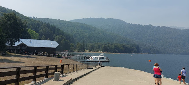 Vixe Pollo - Gastronomía y hostelería