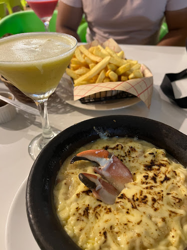 Restaurant CRIA CUERVOS Open Times