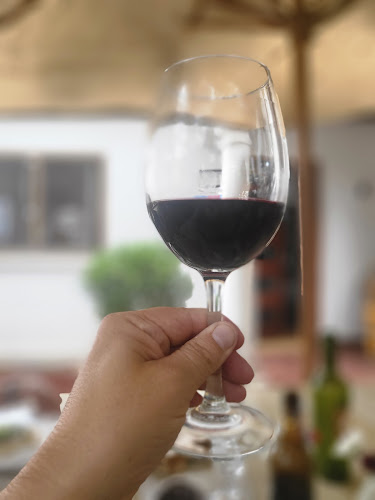 Comentarii opinii despre Restaurante Zinfandel