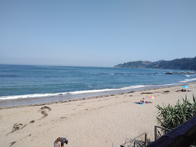 Las Terrazas - Gastronomía y hostelería