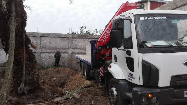 Raulito - Gastronomía y hostelería