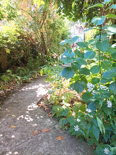 Mandalé Café Temuco - Gastronomía y hostelería