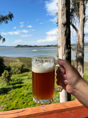 Comentarii opinii despre Sociedad Agropecuaria Punucapa S.A.