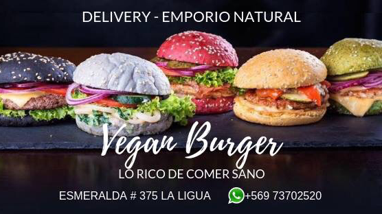 Vegan Burger - Valparaíso