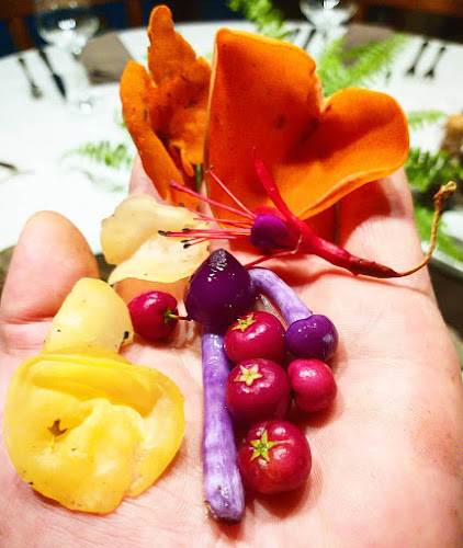 Comentarii opinii despre CB Gastronomía Patagonia | Restaurant en Coyhaique