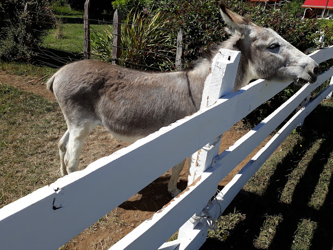 Cecinas La Casa Negra Phone number