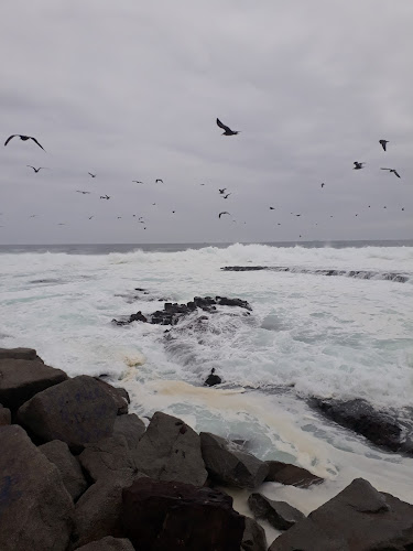 Antojos Restaurante a la carta mariscos y pescados Open Times