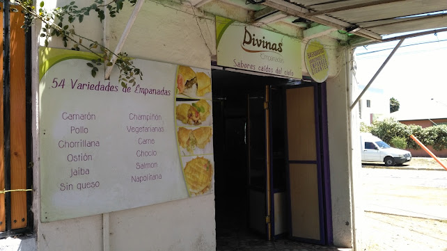 Divinas Empanadas La Cisterna - La Cisterna