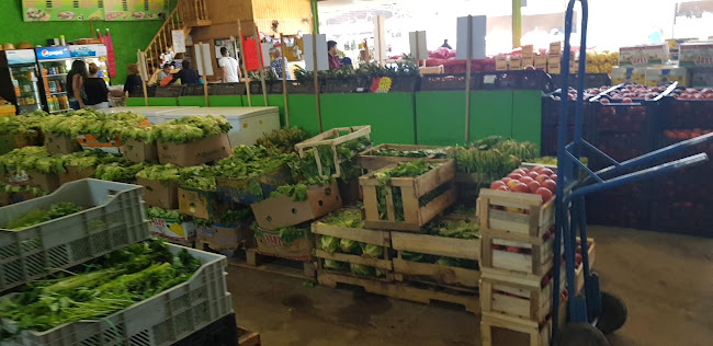 Agrocentro Lampa - Lampa