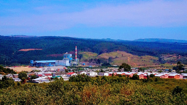 Comentarii opinii despre Rio petrohue