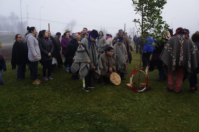 Ruta 160 824-892, Los Alamos, Bío Bío, Chile