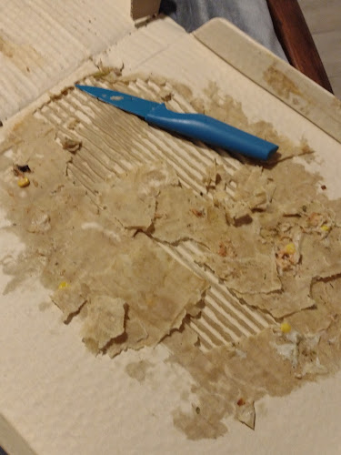 Av padre 10585, 8010000 El Bosque, Región Metropolitana