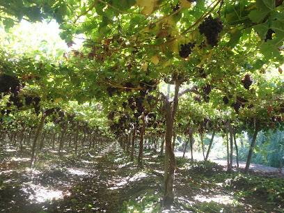 Agricola Los Carrizos