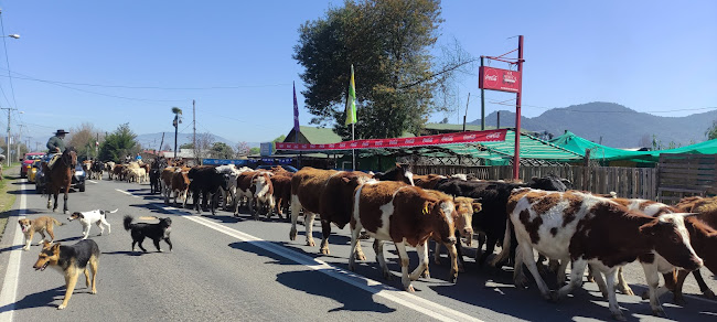 Restaurant El Pedregal Open Times
