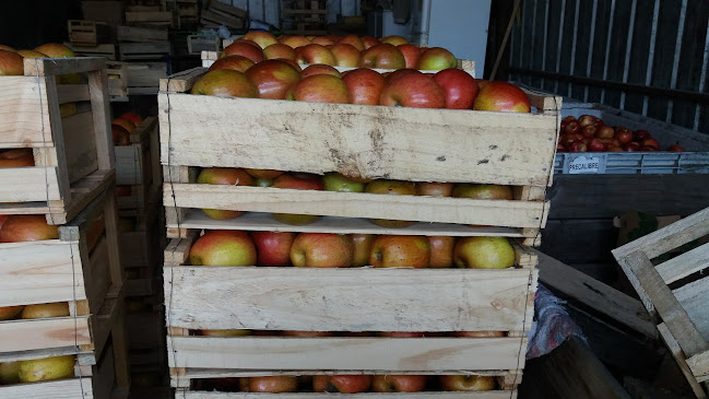 Parque Industrial - Gastronomía y hostelería