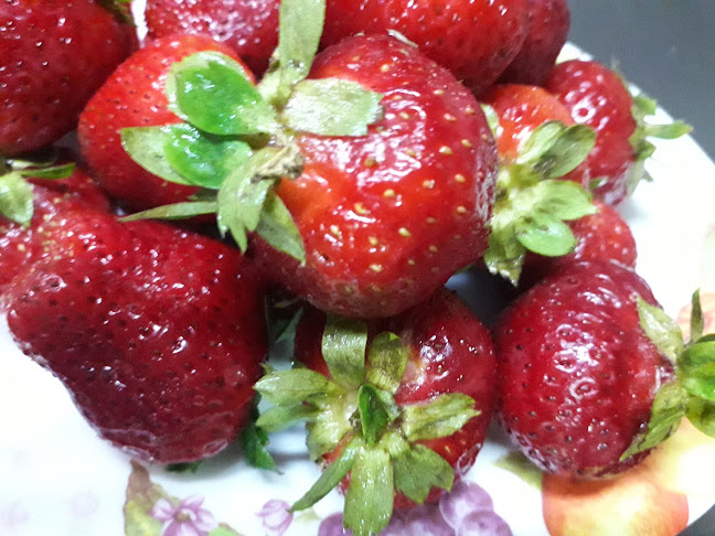 Artus Hnos. - La Cisterna