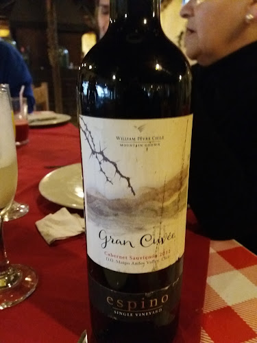 Ramón Subercaseaux 3355, Pirque, Región Metropolitana