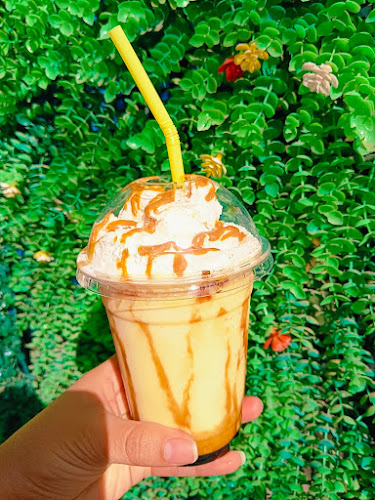 Heladería Glotón Junior - Peñalolén