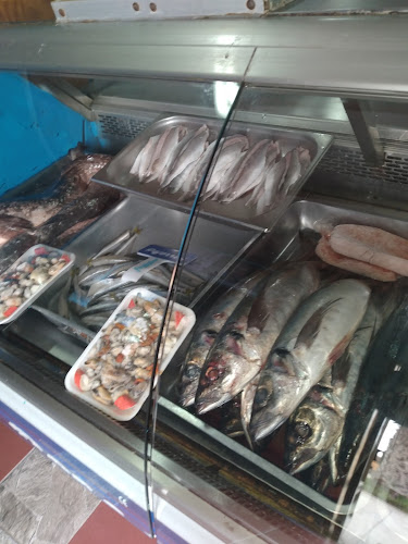 Portofino - Coquimbo