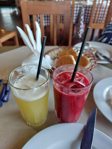 Comentarii opinii despre El Novillero Ruta 5 Sur