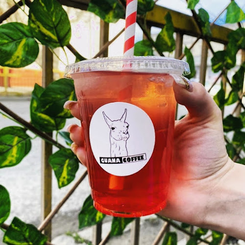 Guana Coffee - Punta Arenas