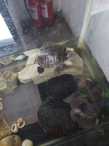 Restaurant Donde Claudio - Gastronomía y hostelería