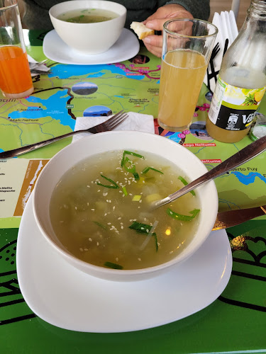 La Ranita de Darwin - Panguipulli