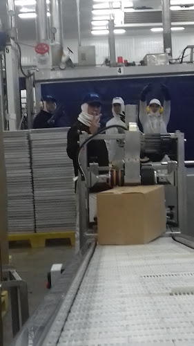 Pacificblu SpA - Talcahuano