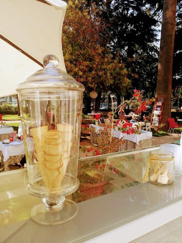 Reviews of Cafeteria Museo Palacio Rioja & Carmela Gourmet in Viña del Mar - Gastronomía y hostelería