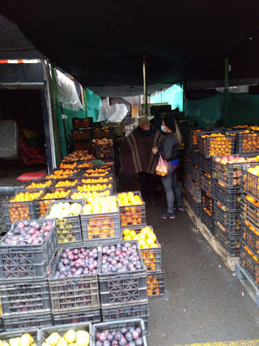 Parque Industrial Open Times