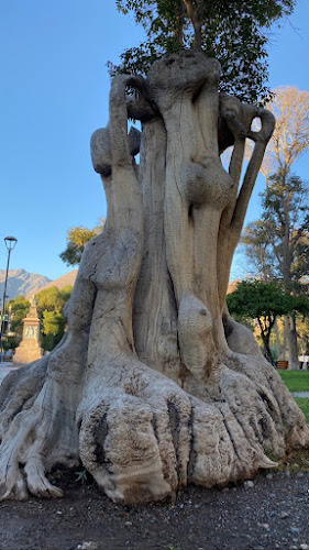 Opinii despre Valle Estrellas în Vicuña - Gastronomía y hostelería