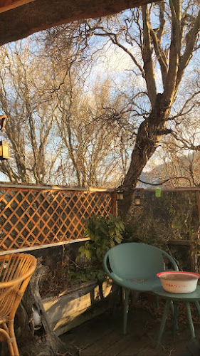 Reviews of PACHAMAMA CASA DE TÉ in Coyhaique - Gastronomía y hostelería