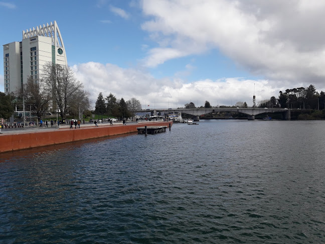 Reviews of La Terraza Restaurant Gastronomía Marina in Valdivia - Gastronomía y hostelería