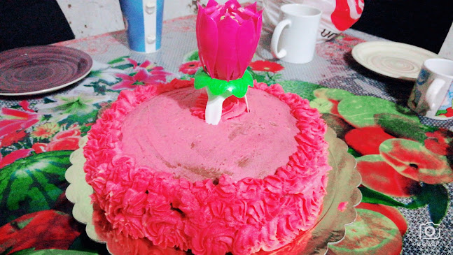 Av. los Changos s/n, Coquimbo