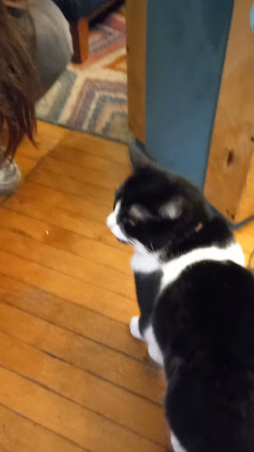 Adriana Cousiño 383, 8350745 Santiago, Región Metropolitana