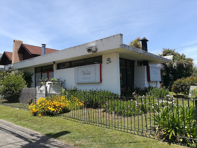 Pasteleria Viena - Gastronomía y hostelería