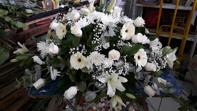 Distribuidora Valleflor - Gastronomía y hostelería