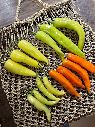 El Huerto Emporio Javiera - Gastronomía y hostelería