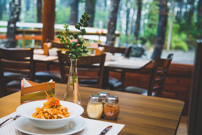 Opinii despre Refugio Sur în Araucanía - Gastronomía y hostelería