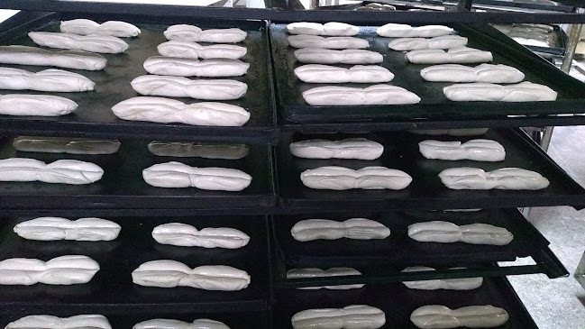 Panadería Almacén Abarrotes Doña Javiera Spa - Gastronomía y hostelería